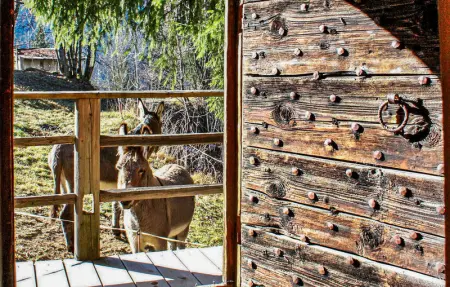 Les Vuargnes, Maison 12 personnes à Chatel - Photo 20