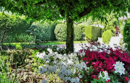 L'Ombrière, Maison 6 personnes à Doussard - Photo 10