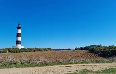 Location Maison 6 personnes à Sainte Gemme - Photo 33