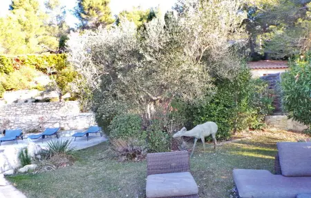 Mas Anastasia, Maison 12 personnes à Les Baux De Provence - Photo 7