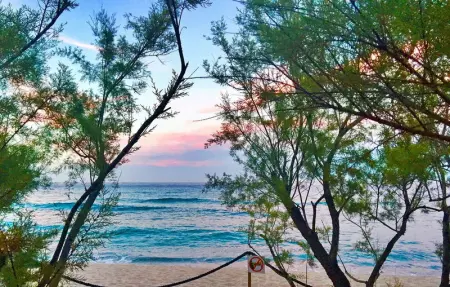 Villa Lucia, Maison 10 personnes à ZONZA - Photo 50