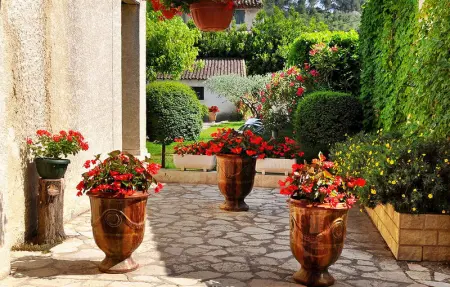 Le Jardin De So, Maison 8 personnes à Barbentane - Photo 15