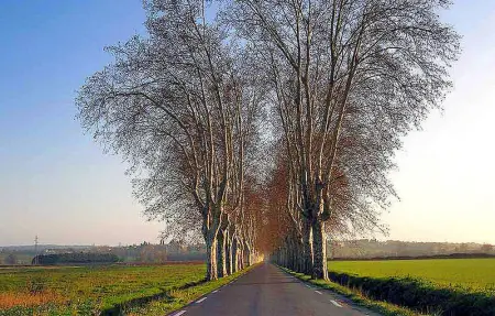 Le Haut Toupian, Maison 2 personnes à Goudargues - Photo 20
