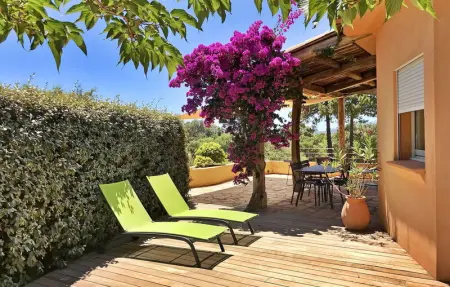 Caéda, Maison 8 personnes à ZONZA - Photo 8