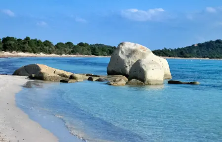 Caéda, Maison 8 personnes à ZONZA - Photo 32