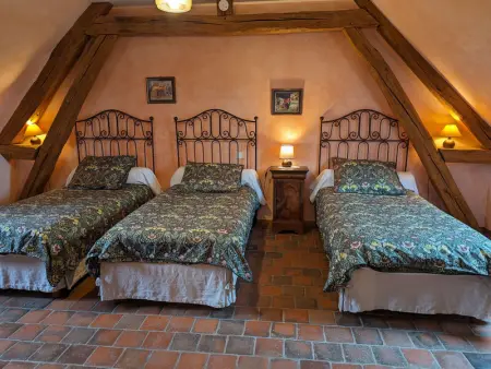 Charmante Maison Rurale avec Terrasse Privative, Proche A.77 et A.19, entre Gâtinais et Fontainebleau - Photo 12