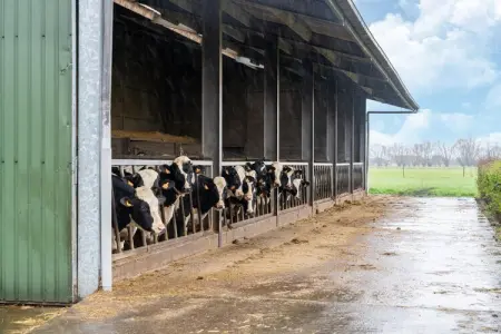 Hof ter Blote I, Villa 6 personnes à Diksmuide - Photo 37