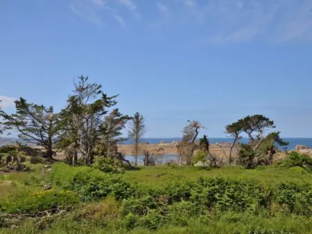 Kermorvan, Maison 4 personnes à Plougrescant - Photo 19