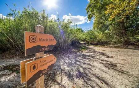 Location Maison 7 personnes à Riba Roja de Turia - Photo 22