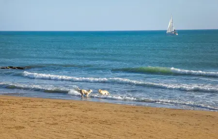Location Maison 6 personnes à Ragusa - Photo 6