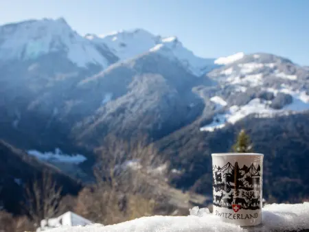 Chavonnes 11, Appartement 4 personnes à Gryon - Photo 21