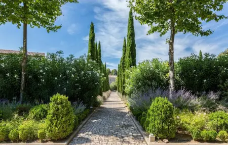 Location Maison 4 personnes à Saint Laurent de la Ca - Photo 28