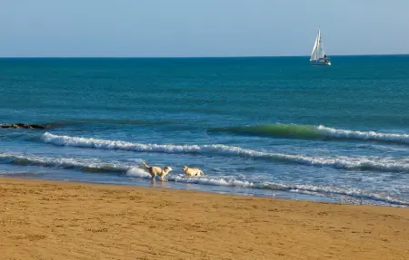 Location Appartement 4 personnes à Ragusa - Photo 14