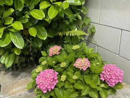 Charmante maison rénovée avec jardin, Gite 4 personnes à Besneville - Photo 16