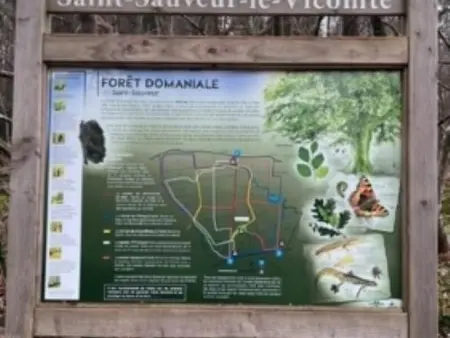 Charmante maison rénovée avec jardin, Gite 4 personnes à Besneville - Photo 17