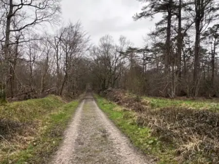 Maison familiale avec jardin, animaux admis, parking - Photo 22