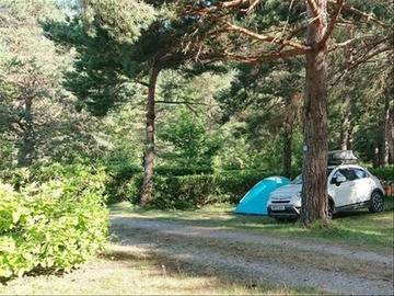 Location Chalet à Axat,Camping La Cremade - Lodge Bois sans sanitaires 16m2 1013795 N°995219