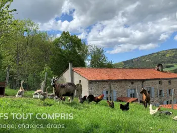 Gite à Sauvain,Gîte chaleureux avec cheminée, espace jeux et animaux, proche nature et activités familiales FR-1-496-315 N°995332