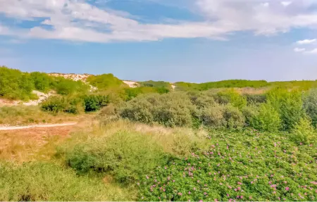 Location Maison 4 personnes à Bredene - Photo 16