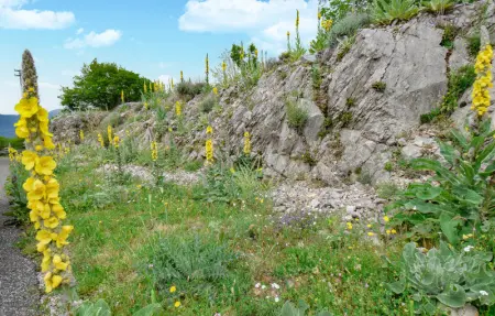 Location Maison 5 personnes à Serrone - Photo 14