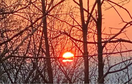 Location Maison 4 personnes à Dego - Photo 17