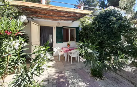 Location Appartement 2 personnes à Vieste - Photo 1