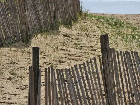 Maison lumineuse et moderne avec jardin clos proche plage - Photo 19