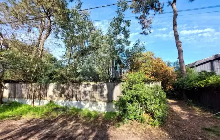 Location Maison 6 personnes à Lège Cap Ferret - Photo 13