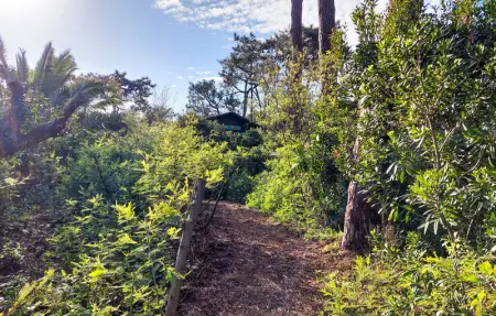 Location Maison 6 personnes à Lège Cap Ferret - Photo 14