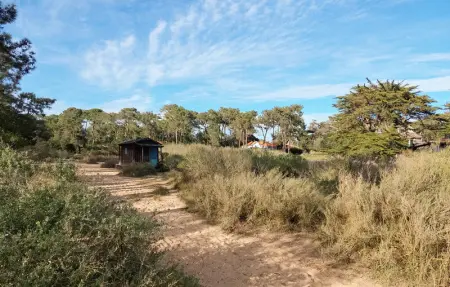 Location Maison 6 personnes à Lège Cap Ferret - Photo 16