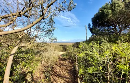 Location Maison 6 personnes à Lège Cap Ferret - Photo 17