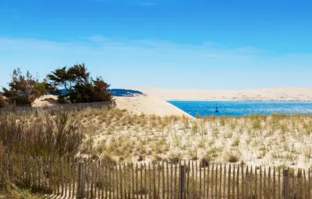 Location Maison 6 personnes à Lège Cap Ferret - Photo 28