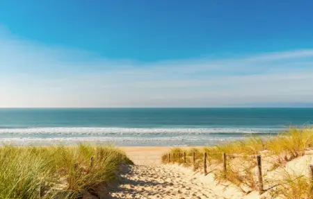 Location Maison 6 personnes à Lège Cap Ferret - Photo 32