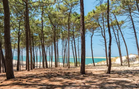 Location Maison 6 personnes à Lège Cap Ferret - Photo 35