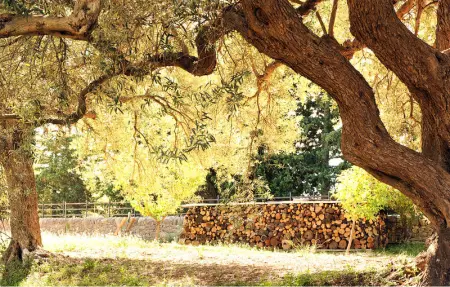 Il Grillo, Maison 8 personnes à Chiaramonte Gulfi - Photo 16