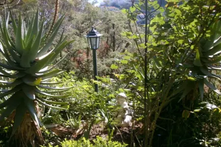 56040, Maison 2 personnes à Roquebrune Cap Martin - Photo 19