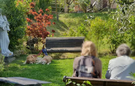 Location Appartement 6 personnes à San Feliciano - Photo 6