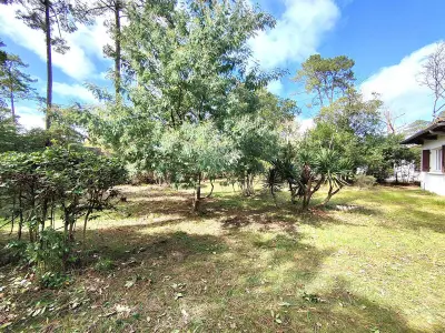 Villa à Lège Cap Ferret, Villa Familiale au Calme avec Jardin, Proche Forêt et Plages, Lège-Cap-Ferret - L997283