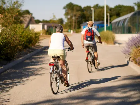Chalet confort 3 chambres, piscine chauffée, entre mer et nature près du Golfe du Morbihan - Photo 28