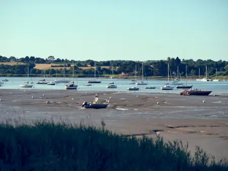 Chalet confort 3 chambres, piscine chauffée, entre mer et nature près du Golfe du Morbihan - Photo 29