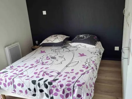 Charmant Chalet 2 Chambres avec Terrasse à 100m du Lac de Jouarres, Piscine Chauffée, Climatisation - Photo 4