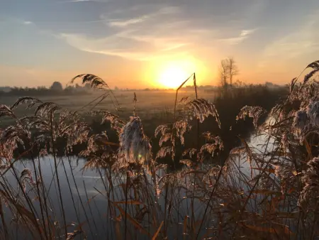 Maison calme à Notre-Dame-de-Monts, 400m plage, animaux admis - Photo 26