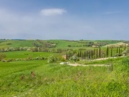 Podere Vetricella, Maison 8 personnes à Buonconvento - Photo 56
