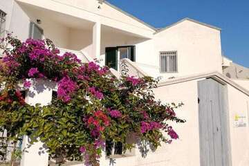 Location Maison à San Pietro in Bevagna,201456 IT-74024-30 N°997754