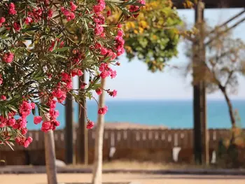 Cottage in Almenara,Maison face à la mer, terrasse, jardin, proche plage, 8 couchages - Almenara, Espagne ES-299-19 N°998209