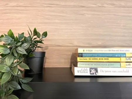 Fonnies Chalet, Chalet 2 personnes à Geel - Photo 15