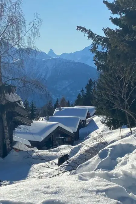 Konkordia 2 EG Süd-Ost, Appartement 4 personnes à Bettmeralp - Photo 8