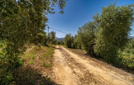 Location Maison 7 personnes à Algodonales - Photo 21