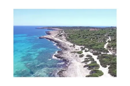 250537, Maison 5 personnes à Cala millor - Photo 17