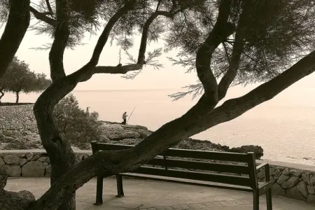 250537, Maison 5 personnes à Cala millor - Photo 19